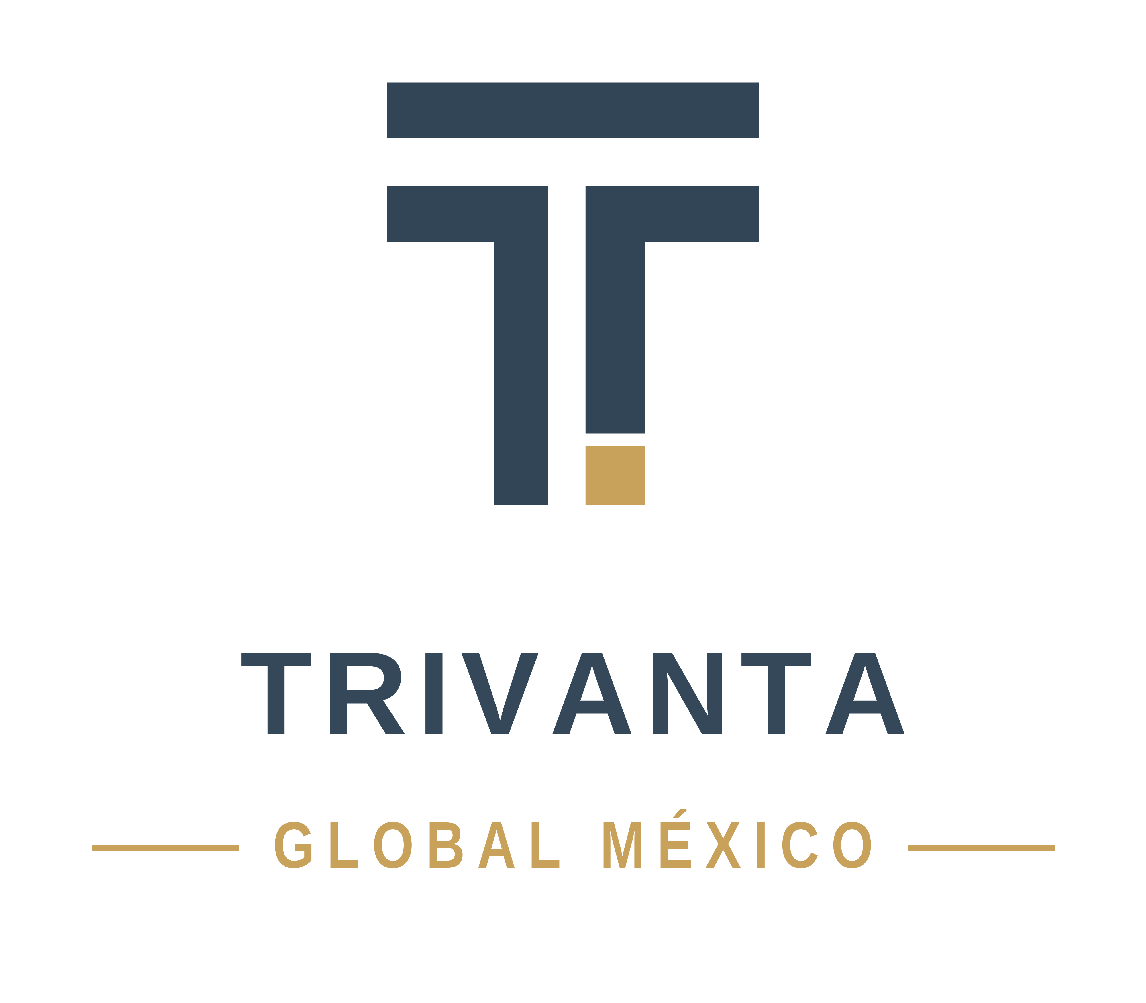 Logotipo de Trivanta Global México